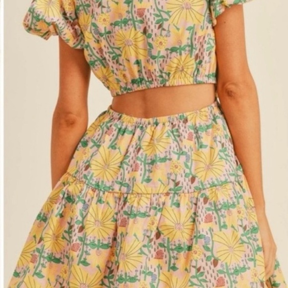 Dresses & Skirts - TALULAH Floral Crop Top and Skirt Set